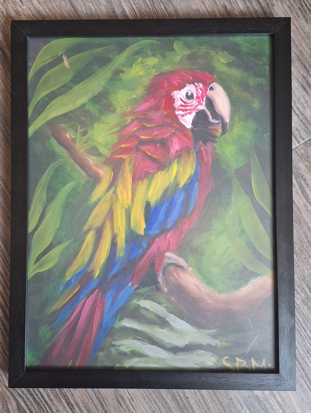 Original Red Macaw oil paint 9x12 framed